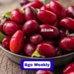 Žižole (Jujube Fruit): Health Benefits, Nutrition, And How To Eat It