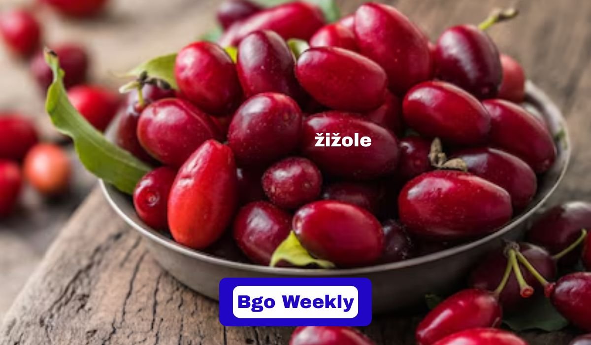 Žižole (Jujube Fruit): Health Benefits, Nutrition, And How To Eat It